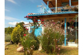 Villa Tatiana Elaia Kyparissia